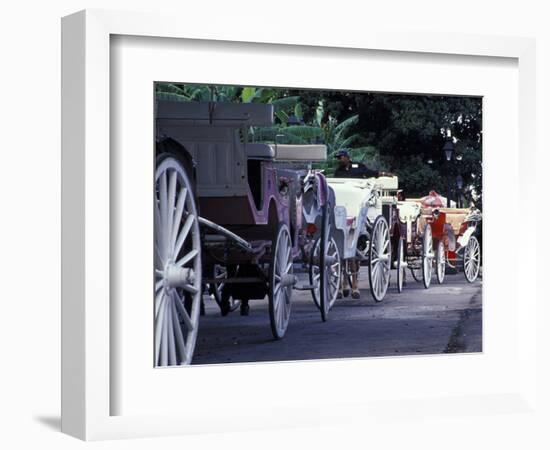 Horsedrawn Carriage at Jackson Square, French Quarter, Louisiana, USA-Adam Jones-Framed Photographic Print