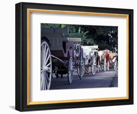 Horsedrawn Carriage at Jackson Square, French Quarter, Louisiana, USA-Adam Jones-Framed Photographic Print