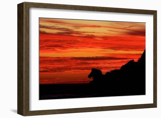 Horsehead Tree-Howard Ruby-Framed Photographic Print