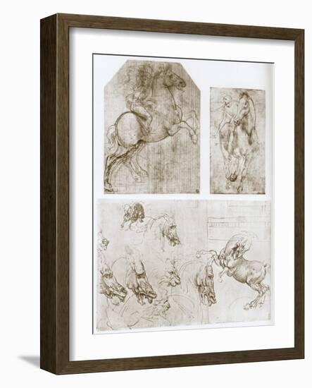 Horseman, 1480-1481-Leonardo da Vinci-Framed Giclee Print