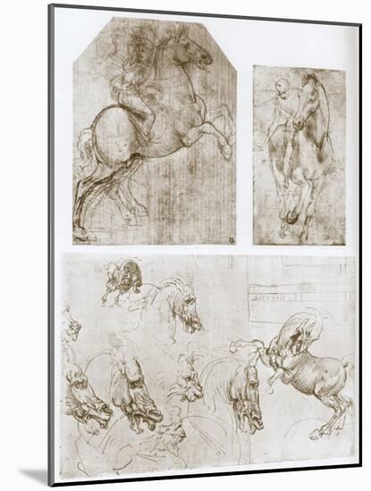 Horseman, 1480-1481-Leonardo da Vinci-Mounted Giclee Print