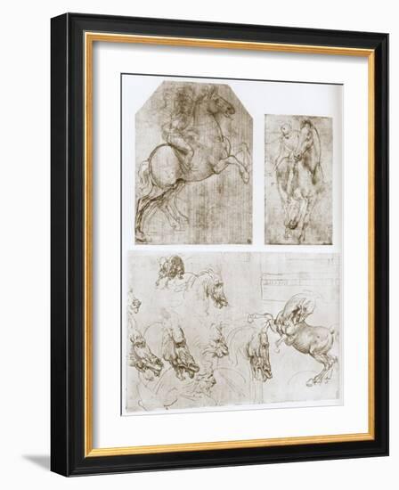 Horseman, 1480-1481-Leonardo da Vinci-Framed Giclee Print