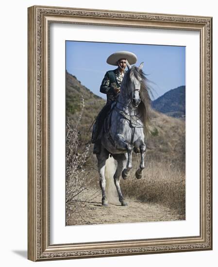 Horseman in Traditional Dress Riding Grey Andalusian Stallion, Ojai, California, USA-Carol Walker-Framed Photographic Print