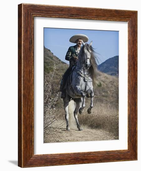 Horseman in Traditional Dress Riding Grey Andalusian Stallion, Ojai, California, USA-Carol Walker-Framed Photographic Print