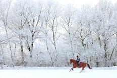 Woman and Her Horse Cantering in Fresh Snow in Christmas Morning-horsemen-Premier Image Canvas