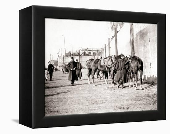 Horseriders, Antwerp, 1898-James Batkin-Framed Premier Image Canvas