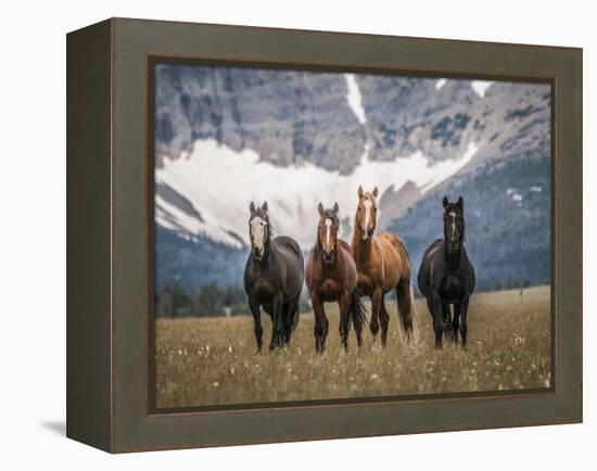 Horses Along the Rocky Mountain Front, Montana.-Steven Gnam-Framed Premier Image Canvas