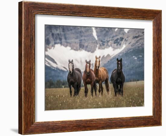 Horses Along the Rocky Mountain Front, Montana.-Steven Gnam-Framed Photographic Print