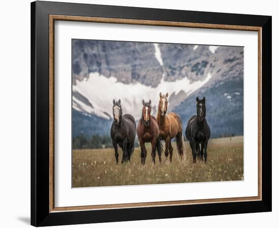 Horses Along the Rocky Mountain Front, Montana.-Steven Gnam-Framed Photographic Print