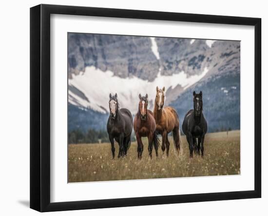 Horses Along the Rocky Mountain Front, Montana.-Steven Gnam-Framed Photographic Print