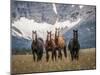 Horses Along the Rocky Mountain Front, Montana.-Steven Gnam-Mounted Photographic Print