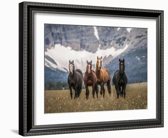 Horses Along the Rocky Mountain Front, Montana.-Steven Gnam-Framed Photographic Print