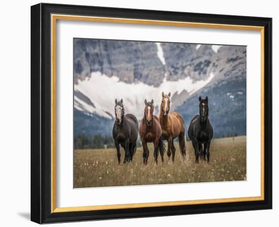 Horses Along the Rocky Mountain Front, Montana.-Steven Gnam-Framed Photographic Print