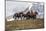 Horses Along the Rocky Mountain Front, Montana-Steven Gnam-Mounted Photographic Print