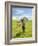 Horses and Barn in Prairie-Darrell Gulin-Framed Photographic Print