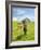 Horses and Barn in Prairie-Darrell Gulin-Framed Photographic Print