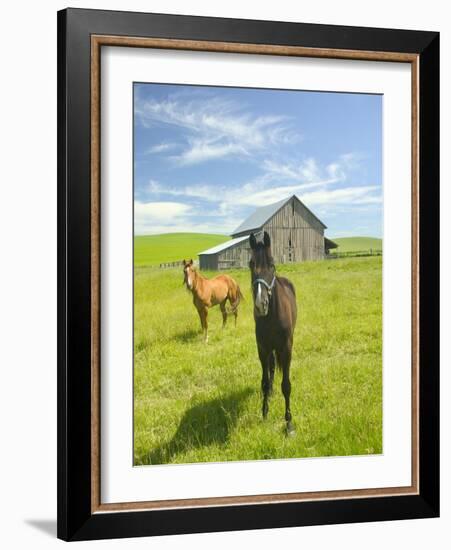 Horses and Barn in Prairie-Darrell Gulin-Framed Photographic Print