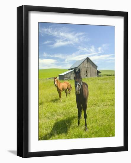 Horses and Barn in Prairie-Darrell Gulin-Framed Photographic Print