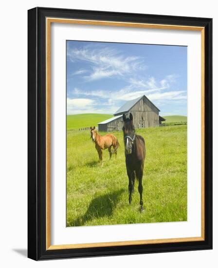 Horses and Barn in Prairie-Darrell Gulin-Framed Photographic Print