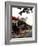 Horses and Buggies Waiting for Fares-Carol Highsmith-Framed Photo