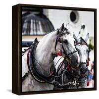 Horses and Carts on the Market in Krakow, Poland.-Curioso Travel Photography-Framed Premier Image Canvas