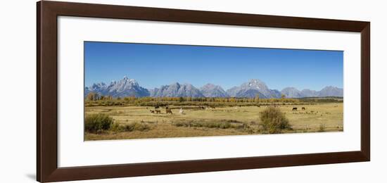 Horses and Grand Teton Mountain Range in fall, Grand Teton National Park, Wyoming-Richard & Susan Day-Framed Photographic Print