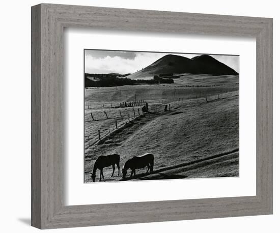 Horses and Landscape, c. 1975-Brett Weston-Framed Photographic Print