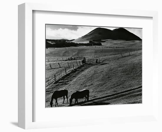 Horses and Landscape, c. 1975-Brett Weston-Framed Photographic Print