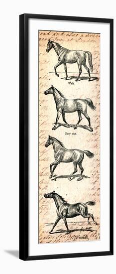 Horses and Love Letters-Piddix-Framed Art Print