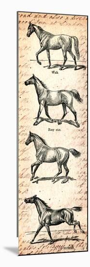 Horses and Love Letters-Piddix-Mounted Art Print