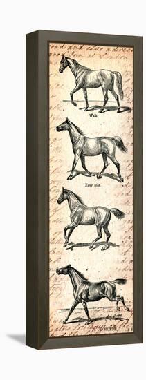 Horses and Love Letters-Piddix-Framed Stretched Canvas