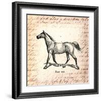 Horses and Love Letters-Piddix-Framed Art Print