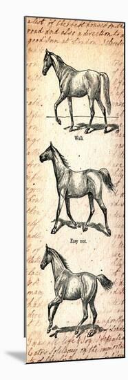 Horses and Love Letters-Piddix-Mounted Art Print