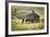 Horses and Old Barn, Olema, California, USA-Jaynes Gallery-Framed Photographic Print