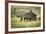 Horses and Old Barn, Olema, California, USA-Jaynes Gallery-Framed Photographic Print