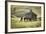 Horses and Old Barn, Olema, California, USA-Jaynes Gallery-Framed Photographic Print