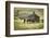 Horses and Old Barn, Olema, California, USA-Jaynes Gallery-Framed Photographic Print