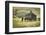 Horses and Old Barn, Olema, California, USA-Jaynes Gallery-Framed Photographic Print