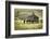 Horses and Old Barn, Olema, California, USA-Jaynes Gallery-Framed Photographic Print