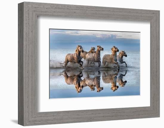 Horses and reflection-Xavier Ortega-Framed Photographic Print