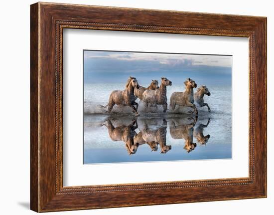 Horses and reflection-Xavier Ortega-Framed Photographic Print