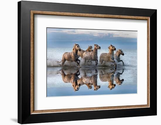 Horses and reflection-Xavier Ortega-Framed Photographic Print