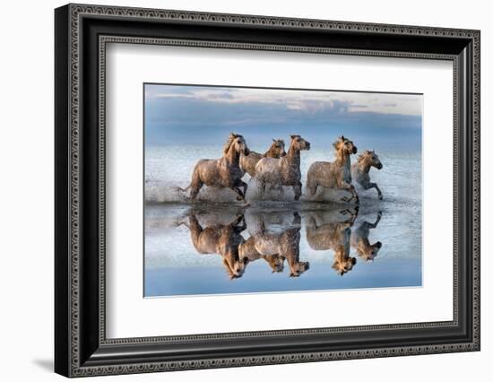 Horses and reflection-Xavier Ortega-Framed Photographic Print