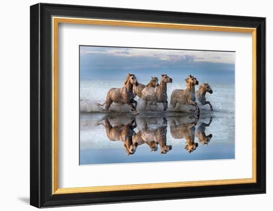 Horses and reflection-Xavier Ortega-Framed Photographic Print