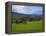 Horses and Sheep in the Barrow Valley, Near St Mullins, County Carlow, Ireland-null-Framed Premier Image Canvas