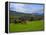 Horses and Sheep in the Barrow Valley, Near St Mullins, County Carlow, Ireland-null-Framed Premier Image Canvas