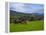 Horses and Sheep in the Barrow Valley, Near St Mullins, County Carlow, Ireland-null-Framed Premier Image Canvas