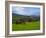 Horses and Sheep in the Barrow Valley, Near St Mullins, County Carlow, Ireland-null-Framed Photographic Print