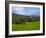 Horses and Sheep in the Barrow Valley, Near St Mullins, County Carlow, Ireland-null-Framed Photographic Print