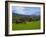 Horses and Sheep in the Barrow Valley, Near St Mullins, County Carlow, Ireland-null-Framed Photographic Print